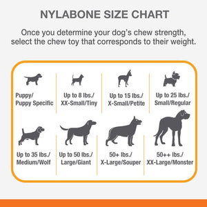 Nylabone Power Chew DuraChew Textured Bone Flavor Medley - 2 sizes