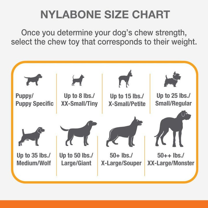 Nylabone Power Chew DuraChew Textured Bone Flavor Medley - 2 sizes