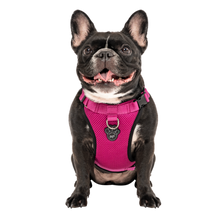 Canada Pooch Everything Harness Mesh Black or Pink