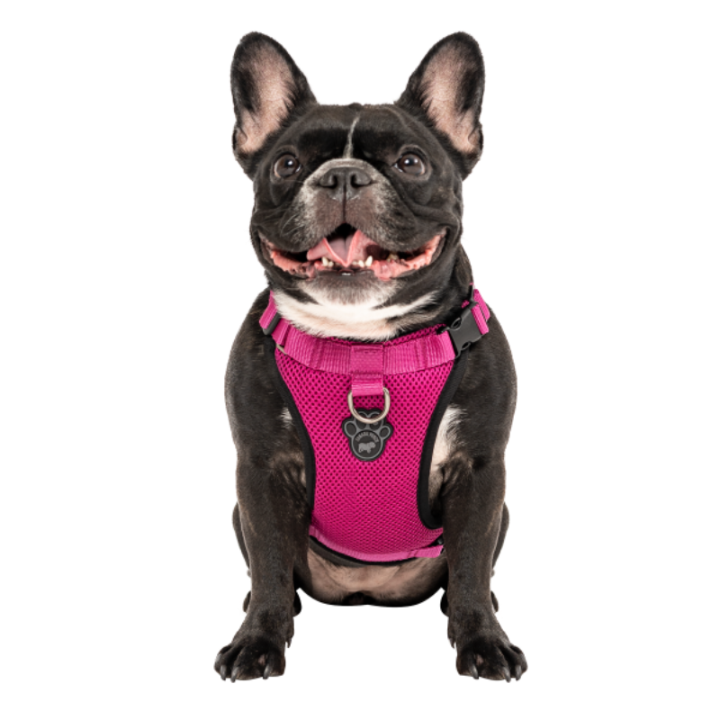 Canada Pooch Everything Harness Mesh Black or Pink