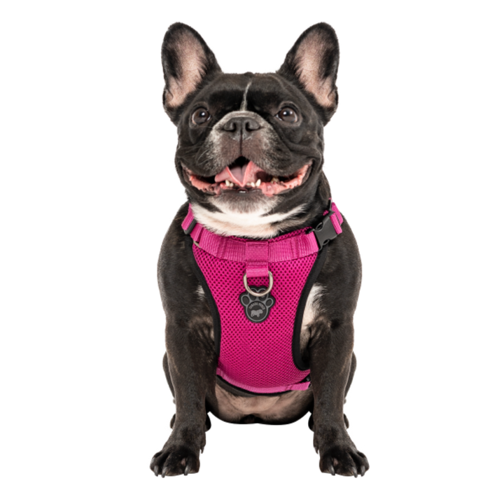 Canada Pooch Everything Harness Mesh Black or Pink
