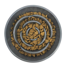 Messy Mutts Melamine Slow Feeder Bowl