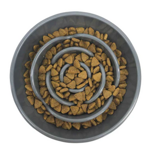 Messy Mutts Melamine Slow Feeder Bowl
