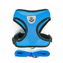 Mesh Harness/Leash Set for Small Dogs or Cats
