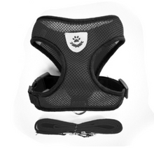Mesh Harness/Leash Set for Small Dogs or Cats