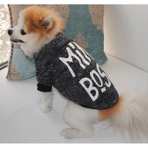 Mini Boss Sweatshirt