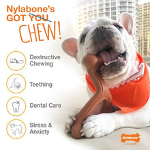 Nylabone Power Chew DuraChew Textured Bone Flavor Medley - 2 sizes