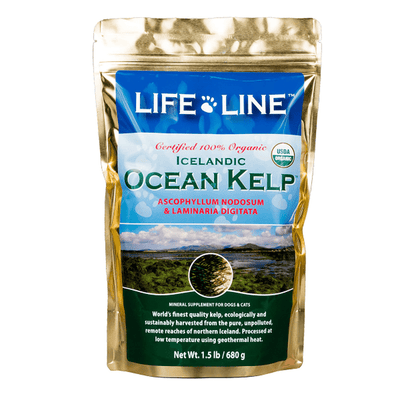 Lifeline Organic Ocean Kelp 1.5lb
