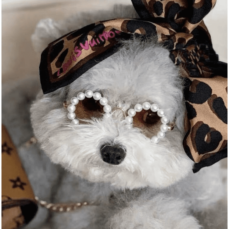 Black Square-Frame Sunglasses with Pearls | ESTHER/S 57 | Autumn 2022  collection | JIMMY CHOO