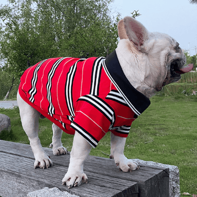 Edmonton Oilers Dog Jersey– Togpetwear