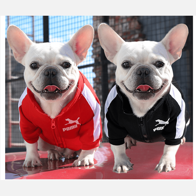 Adidas track jacket for dogs sales
