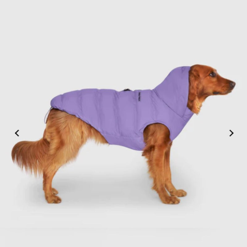 Canada Pooch Waterproof Puffer Violet - Main Image