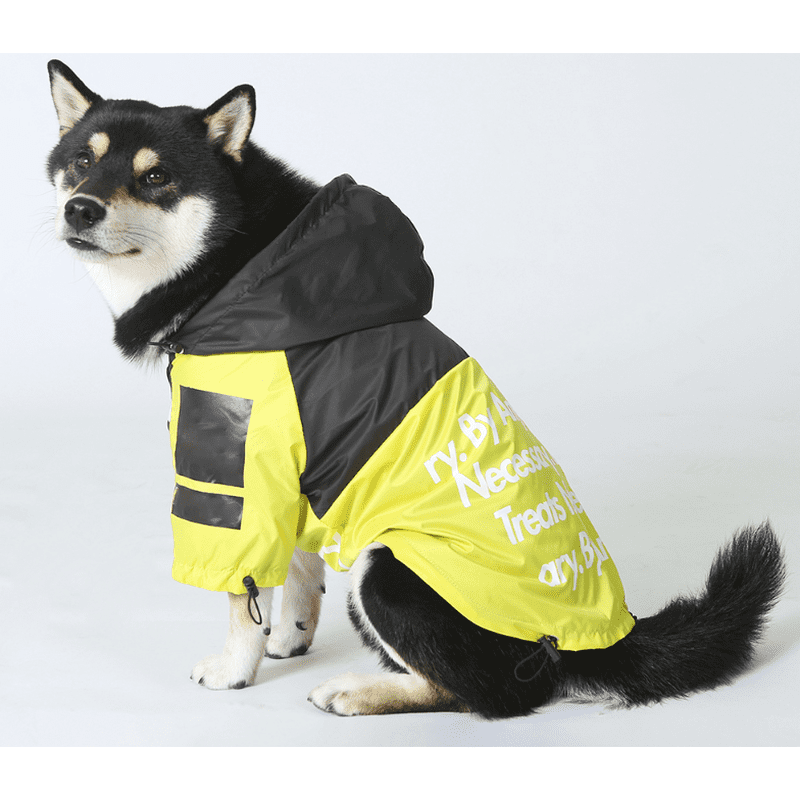Pupreme Windbreaker Yellow Poochie Moochie Pet Store West Edmonton