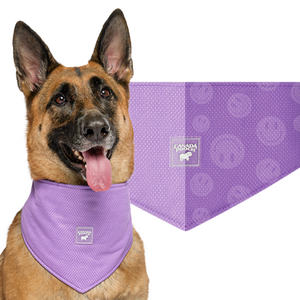 Canada Pooch Cooling Bandana WetRveal Smiley Purple