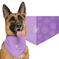 Canada Pooch Cooling Bandana WetRveal Smiley Purple