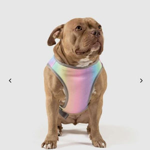 Canada Pooch Cooling Vest Rainbow