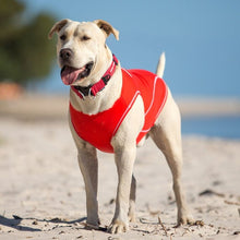 EzyDog Rashie UV Protect Swim Shirt