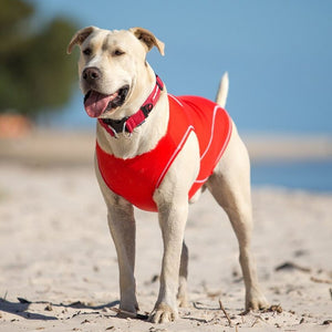 EzyDog Rashie UV Protect Swim Shirt
