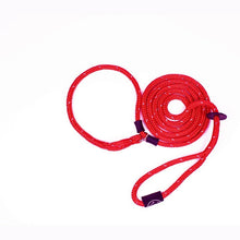 HarnessLead Leash - Gentle 'All in One' for No Pull/No Escape Walking