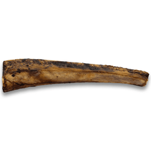 ASADO Beef Rib - 6" or 12"