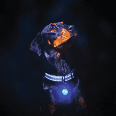 RogLite Safety Light Tag