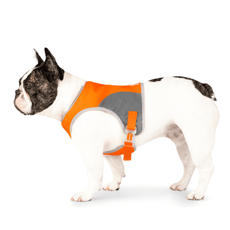 Canada Pooch Safety Vest Orange