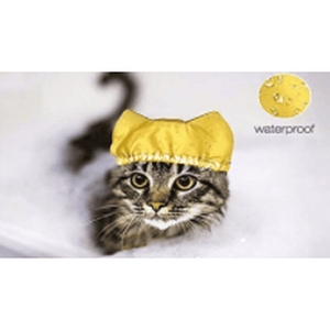 Shower Cap