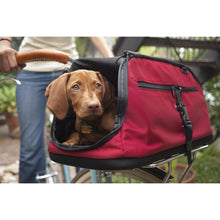 Sleepypod Air - Travel Comfort & Safety