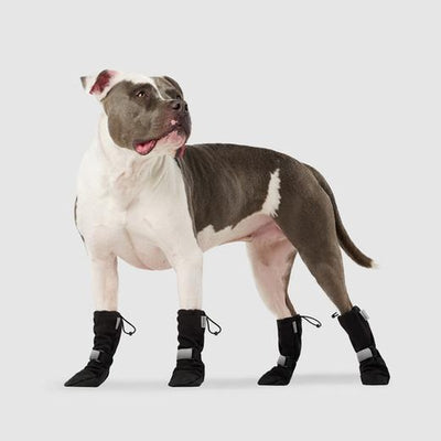Canada Pooch Soft Shield Boots - Black or Red
