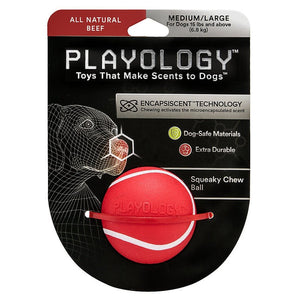 Playology Squeaky Chew Ball - Scented Toy