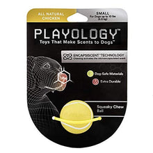 Playology Squeaky Chew Ball - Scented Toy