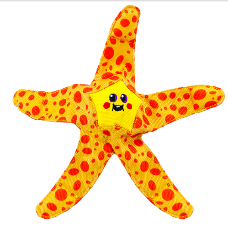 Outward Hound Floatiez Starfish 14.2