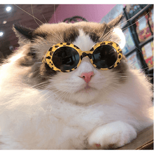 Fashion Sunglasses - 4 styles