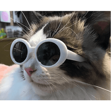 Fashion Sunglasses - 4 styles