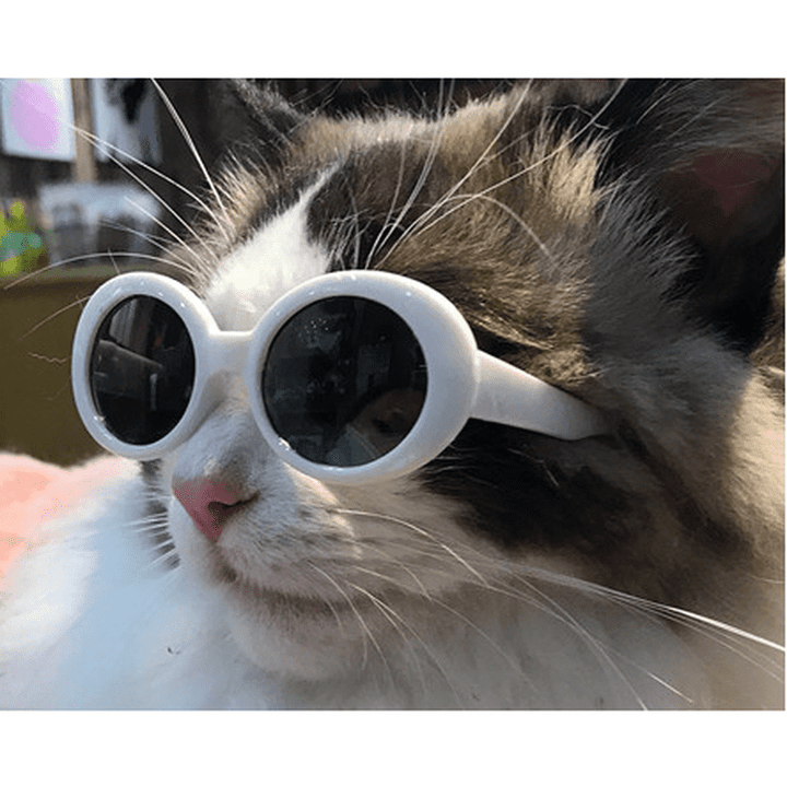 Fashion Sunglasses - 4 styles
