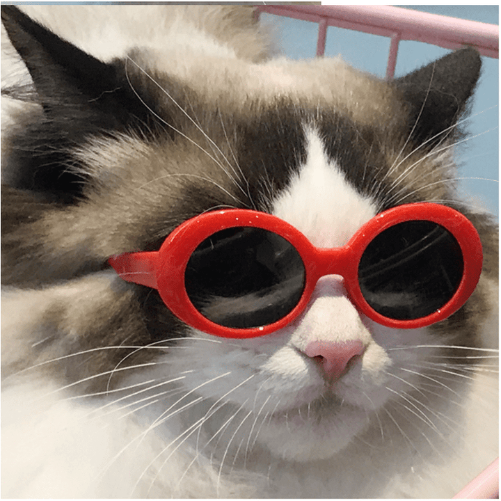 Fashion Sunglasses - 4 styles