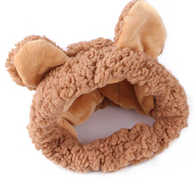 Dress Up Teddy Bear Hat