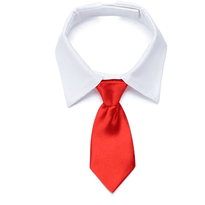 Long Tie with Collar