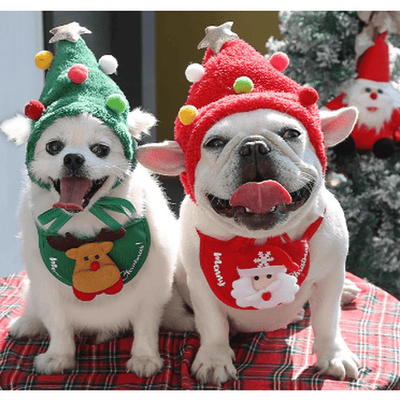 Dress Up Christmas Tree Hat for Cat or Small Dog
