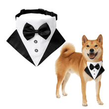 Gentleman's Tux Bandana