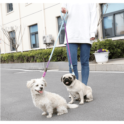2-Dog Twisted Rope Leash Extender or Dual Dogs 5ft