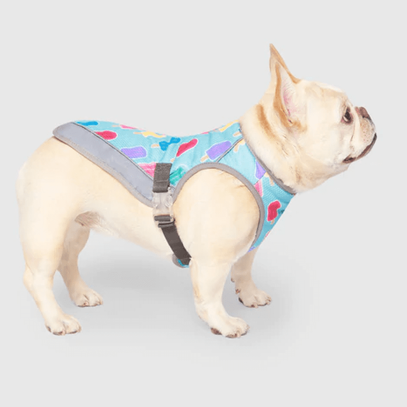 Canada Pooch Cooling Vest Popsicles