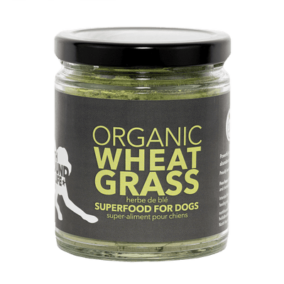 North Hound Life Dog Organic Wheatgrass 250mL