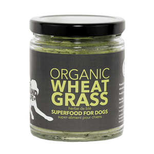 North Hound Life Dog Organic Wheatgrass 250mL