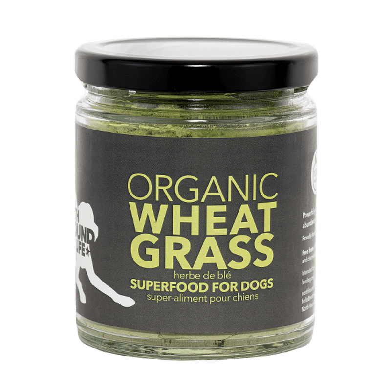 North Hound Life Dog Organic Wheatgrass 250mL