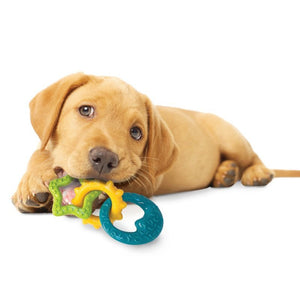 Nylabone Puppy Power Chew Puppy Teething Rings Bacon Flavor 1ea/Small/Regular - Up To 25 Ibs.