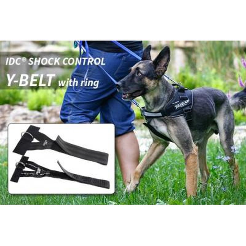 Julius K-9 Front Control Y Belt With Ring