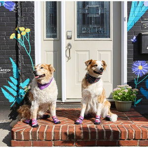 Poochy Pawz Chalkboard Bandana